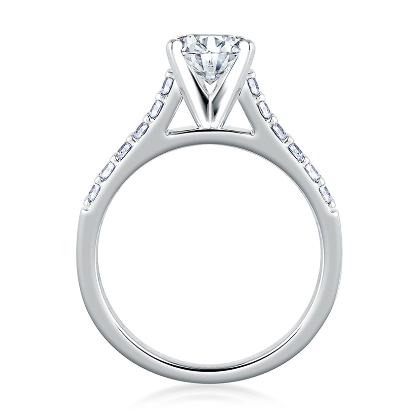 Cathedral Classic Engagement Ring