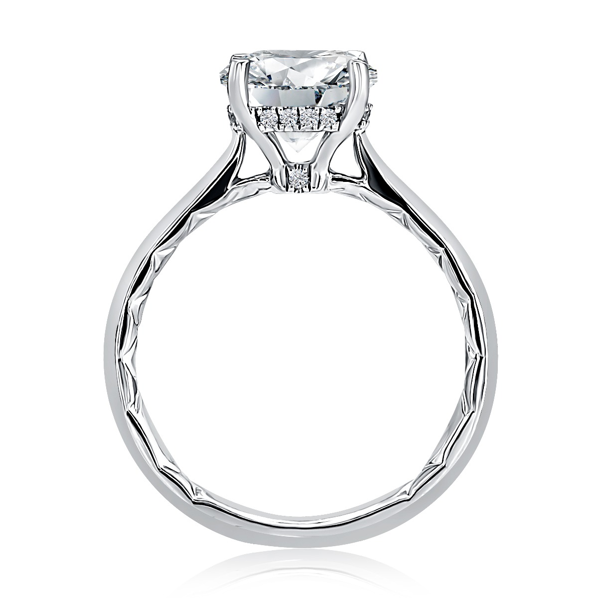 Solitaire Engagement Ring with Surprise Diamonds