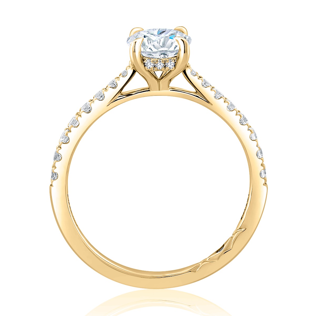 Oval Cut Center Hidden Halo Engagement Ring with Pave Band